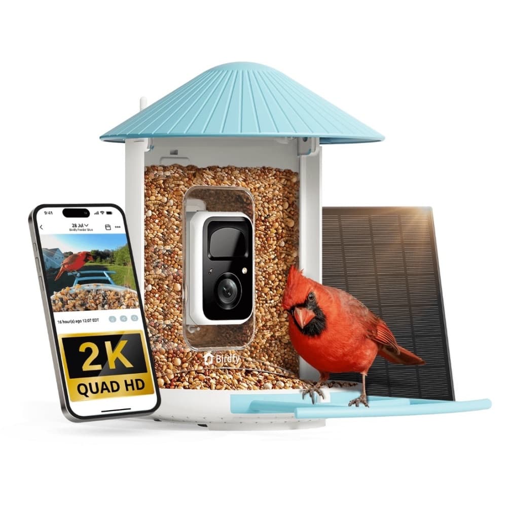 Birdfy Feeder
